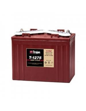 Batterie Trojan Pour les véhicules à moteur