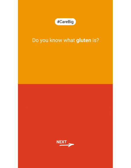 Pacote de montagem solar completo 2 painéis solares coplanares