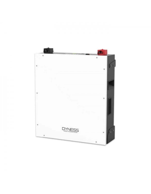 Batterie au lithium Dyness Pour les véhicules à moteur à combustion