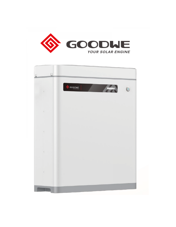 Batteria GOODWE 48V 100A 5,4kWh Bassa Tensione